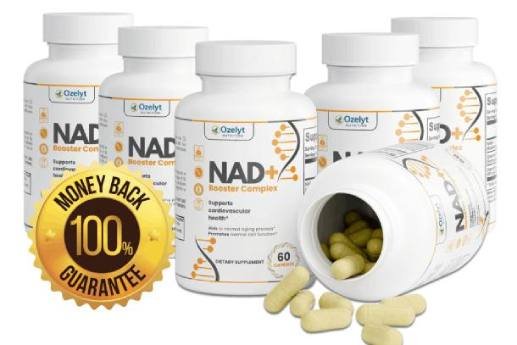 Ozelyt NAD+ supplement final product image – buy now for cellular energy and focus
