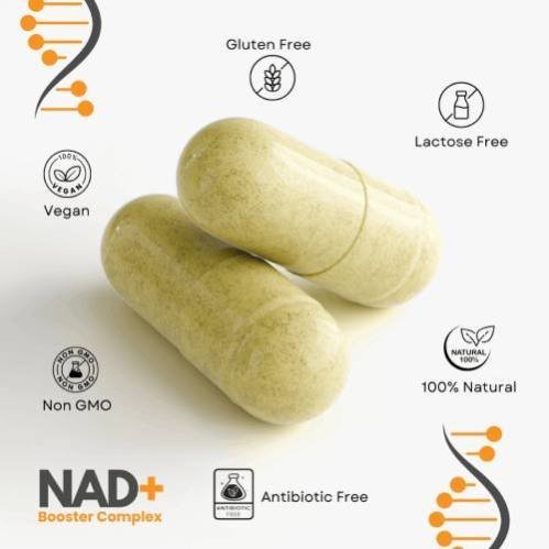 What is Ozelyt NAD+ supplement – cellular energy booster for focus and healthy aging